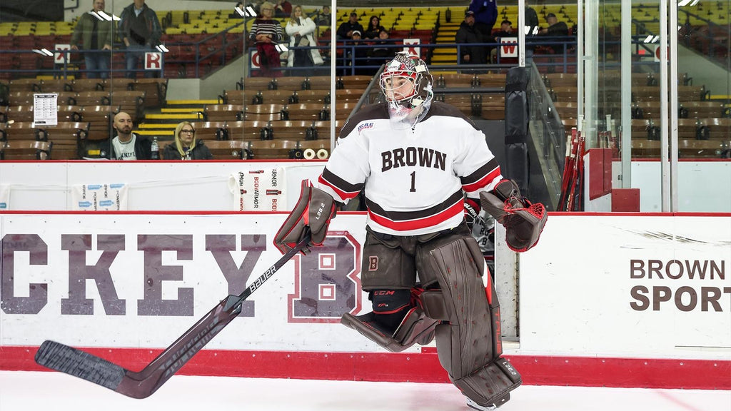 NCAA True L20.2 33+2 pro stock goalie pads and glove