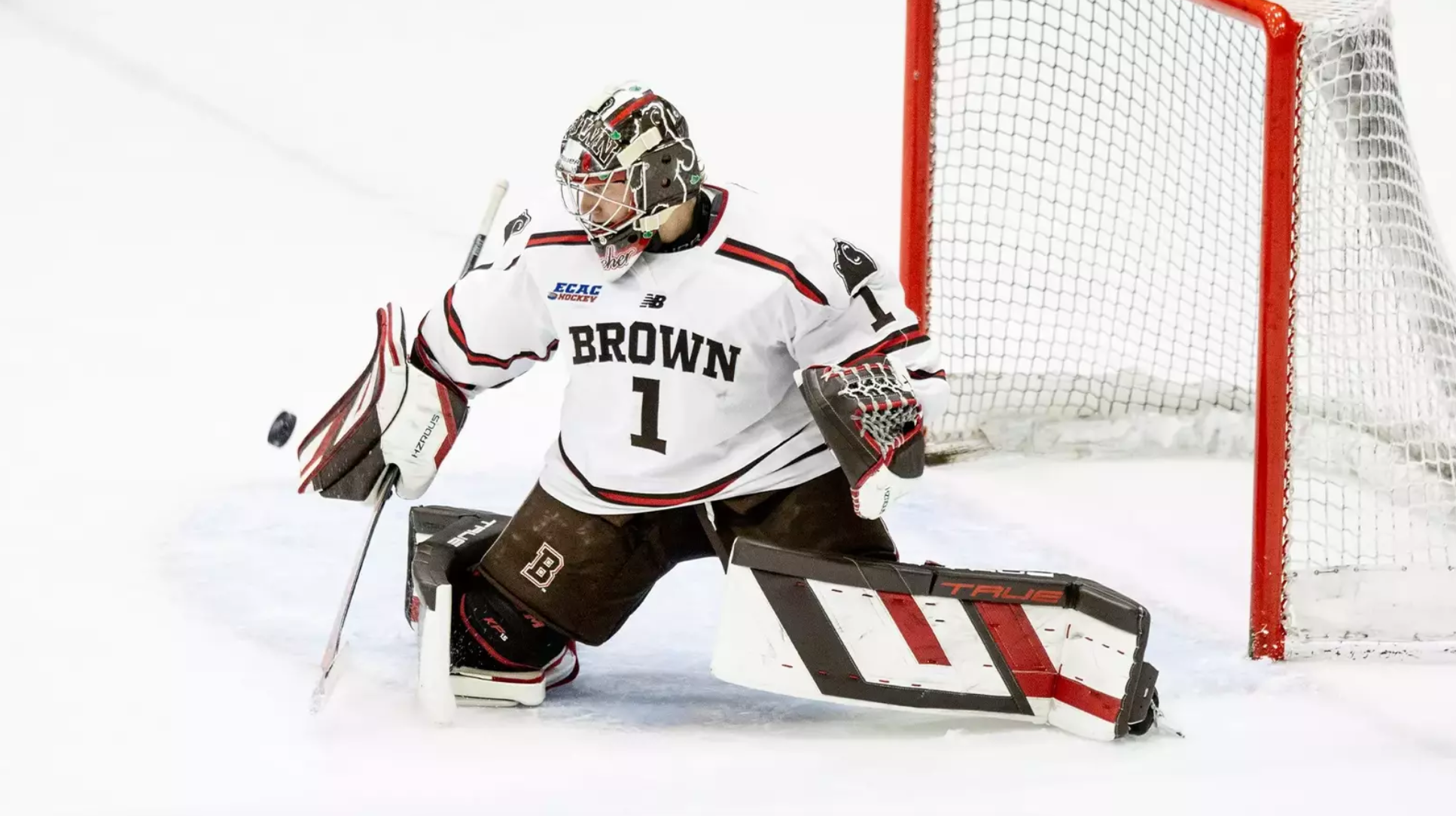 True HZRDUS Px4 33+2 Goalie pro stock Full Set