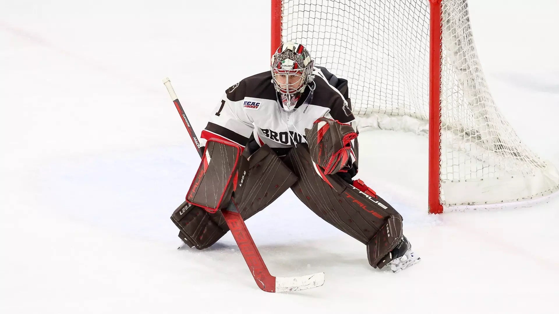 NCAA True L20.2 33+2 pro stock goalie pads and glove