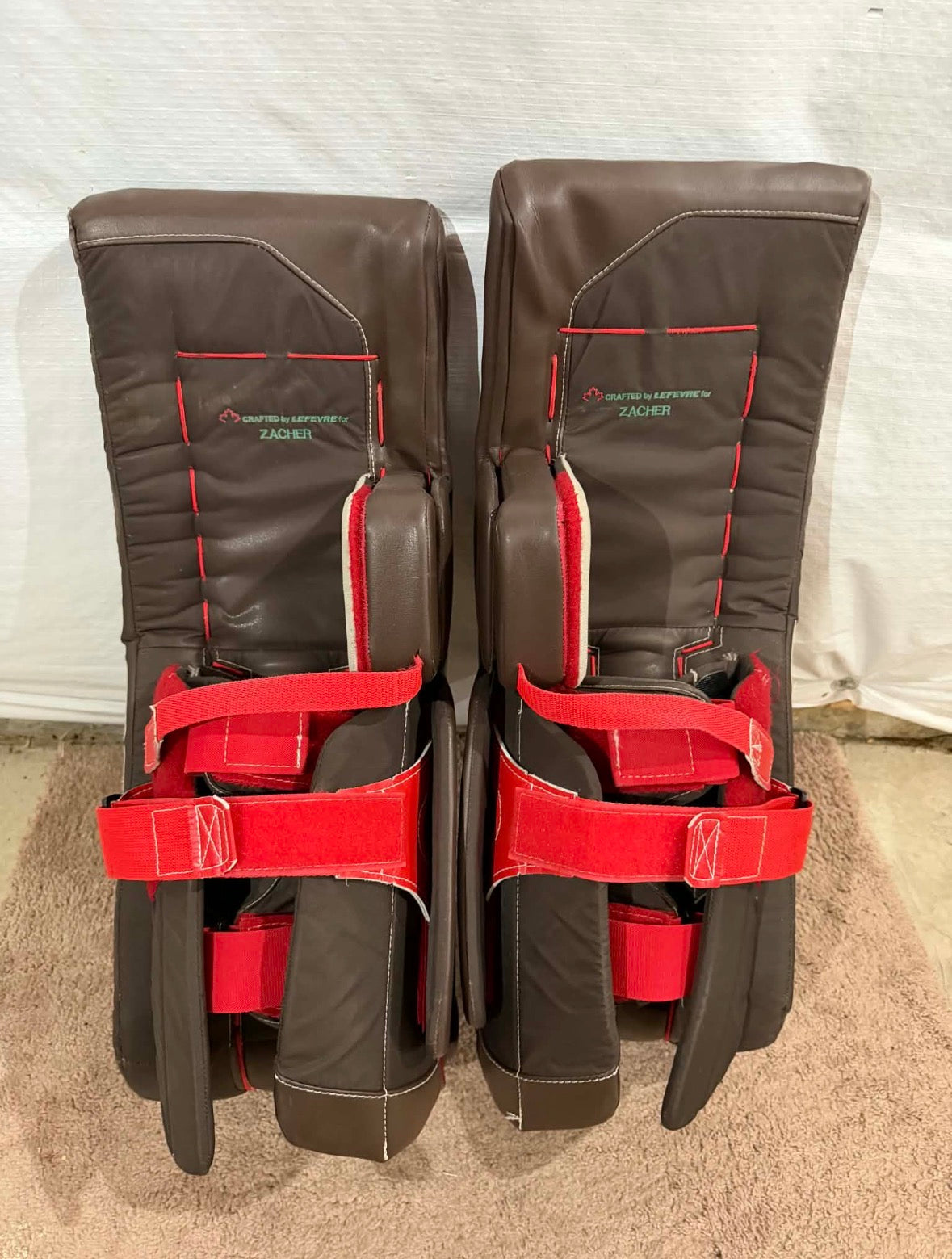 True L20.2 33+2 pro stock goalie full set